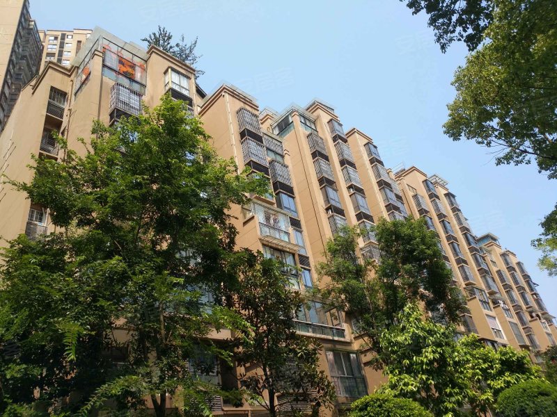 观棠晓月(一期)