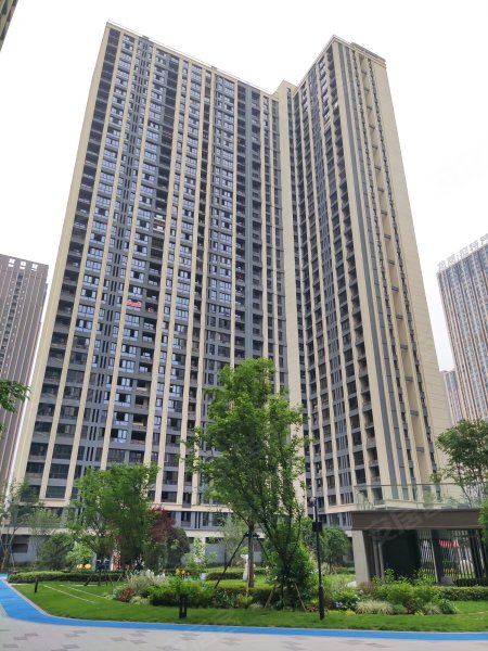 重庆金科天宸一街区图片
