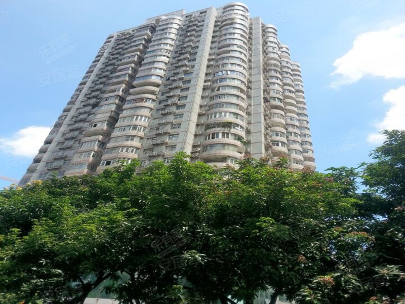 大信大厦,宝安南路2066号-深圳大信大厦二手房,租房,房价-深圳安居客