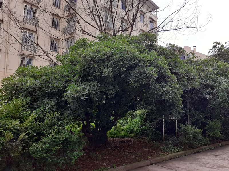 瓜渚湖商住楼