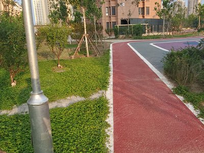 龙峰嘉园小区图片相册,天津龙峰嘉园实景图,室外图,小区配套图-天津