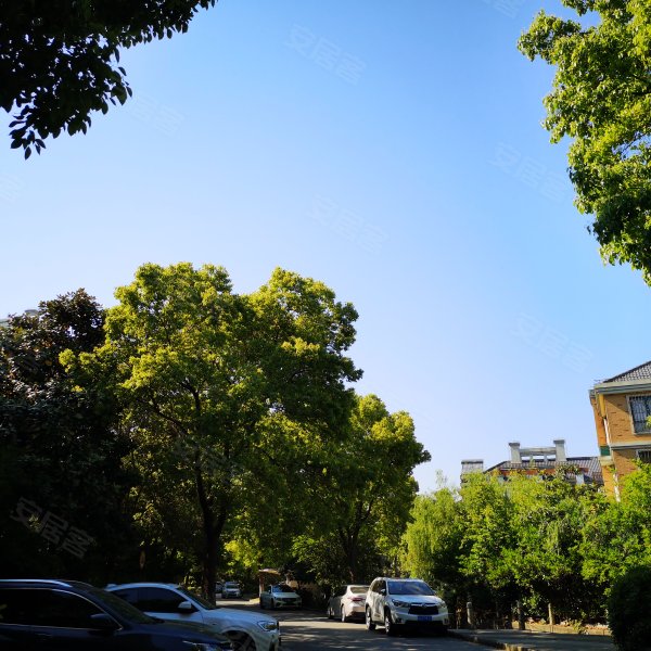 丽水豪庭(公寓住宅)