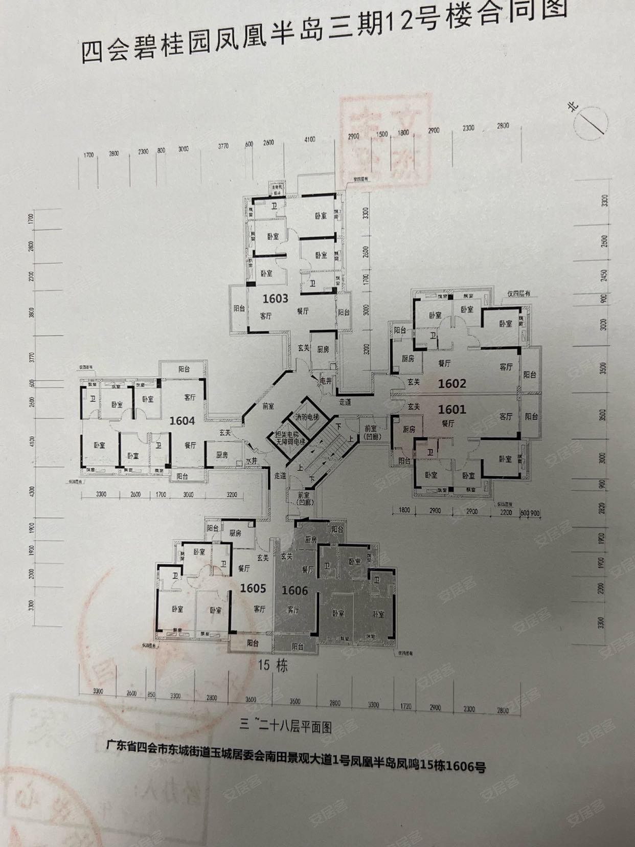 碧桂园凤凰半岛3室2厅2卫96㎡东69万