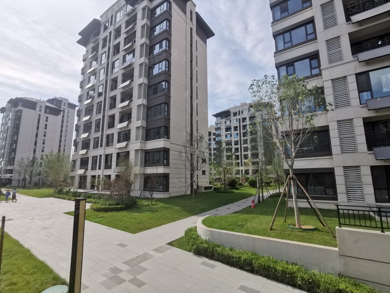 信泰龙瑞国际,阳光大道,近城子路-威海信泰龙瑞国际二手房,租房,房价