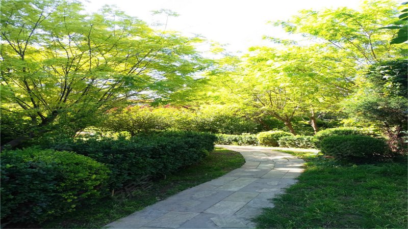 京城雅居,黄广路-北京京城雅居二手房,租房,房价-北京安居客