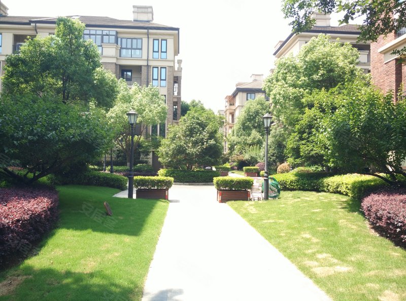 白鹭郡南柳映坊