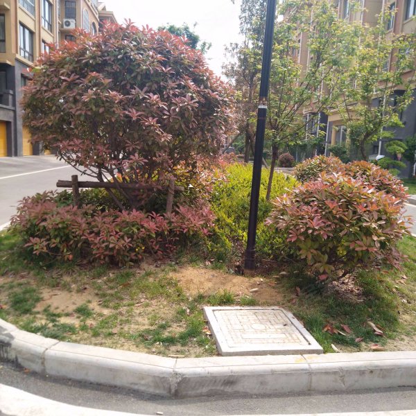 中兴山水城(北区),中兴大道,近长青路-枣庄中兴山水城(北区)二手房