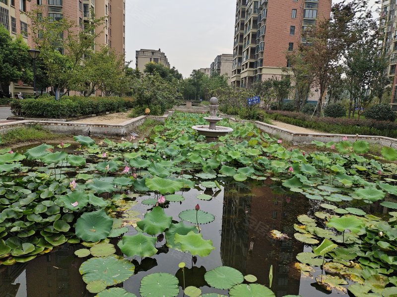 金汇香郡,釜山路-马鞍山金汇香郡二手房,租房,房价-马鞍山安居客
