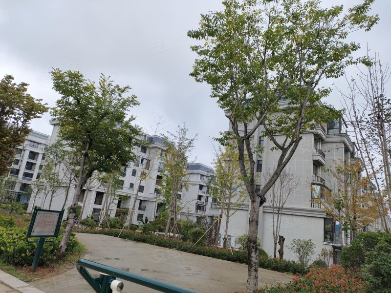 润扬首府,武夷山路,近浦东路-枣庄润扬首府二手房,租房,房价-枣庄安居