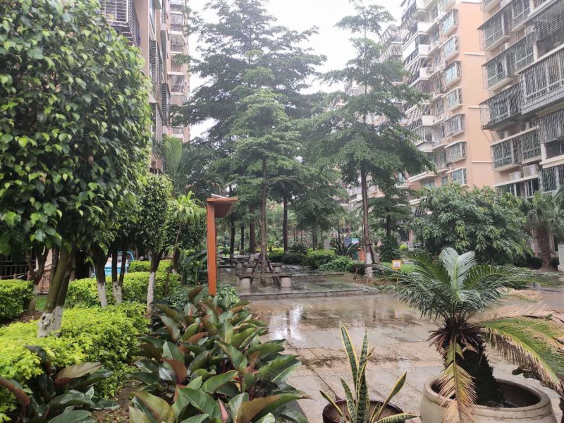 嘉盛花园(湖里),江头东里1-11号-厦门嘉盛花园(湖里)二手房,租房,房价