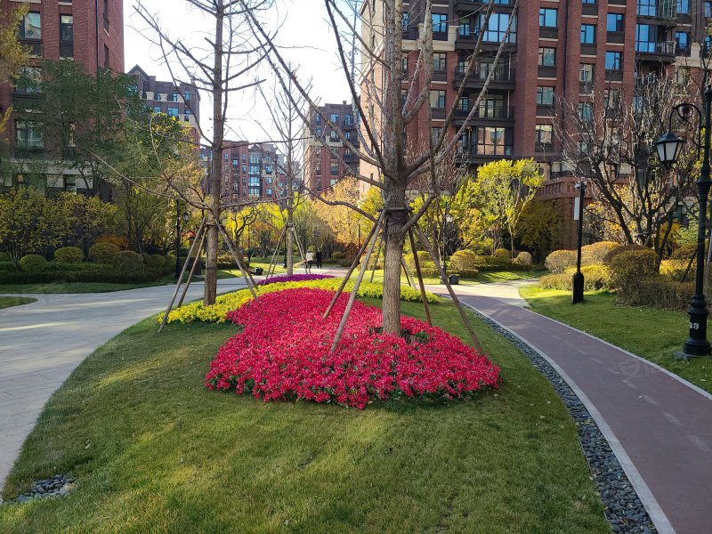 铂蓝郡花千树,南环路-大同铂蓝郡花千树二手房,租房,房价-大同安居客