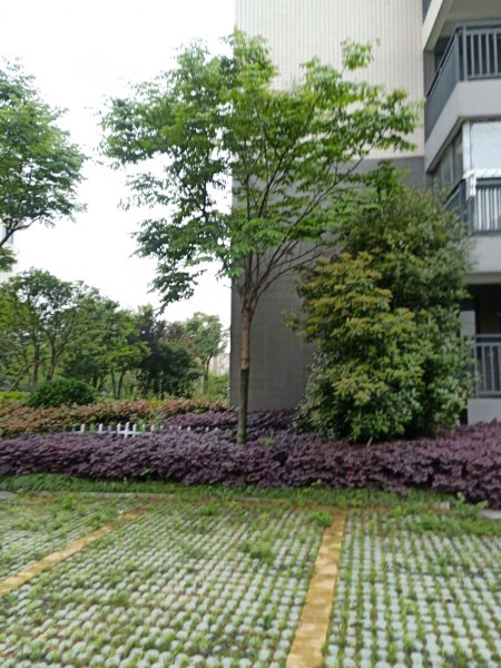 桃源林语,大桥北路283号-嘉兴桃源林语二手房,租房,房价-嘉兴安居客