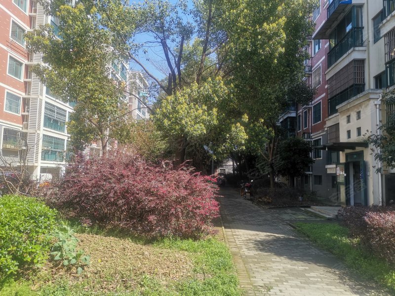 雍锦园,珠江路-芜湖雍锦园二手房,租房,房价-芜湖安居客