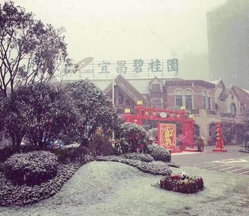 宜昌碧桂园(别墅)