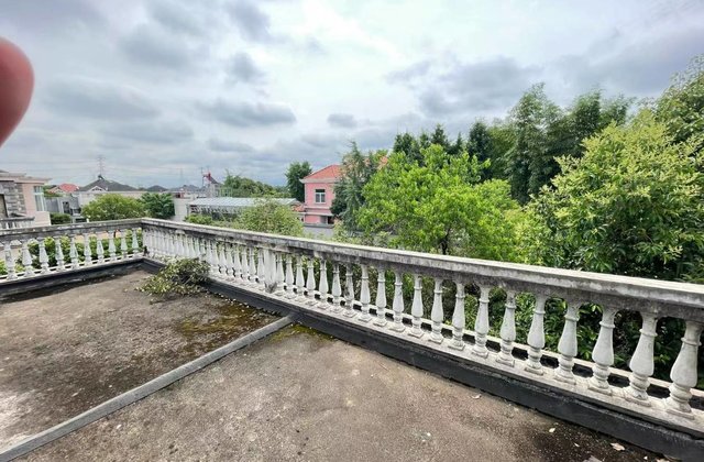 仙桥花木城,103省道-金华仙桥花木城二手房,租房,房价-金华安居客