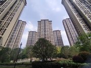 肥西 绿地新都会  简装 刚需小三居 品质小区 急售
