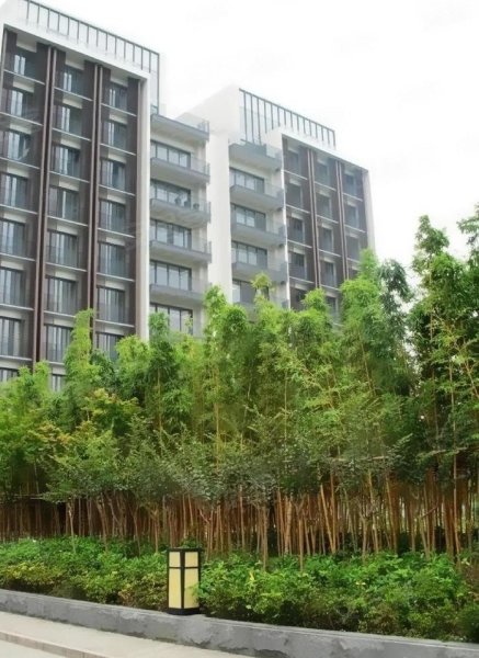 信达泰禾上城院子(公寓住宅) 