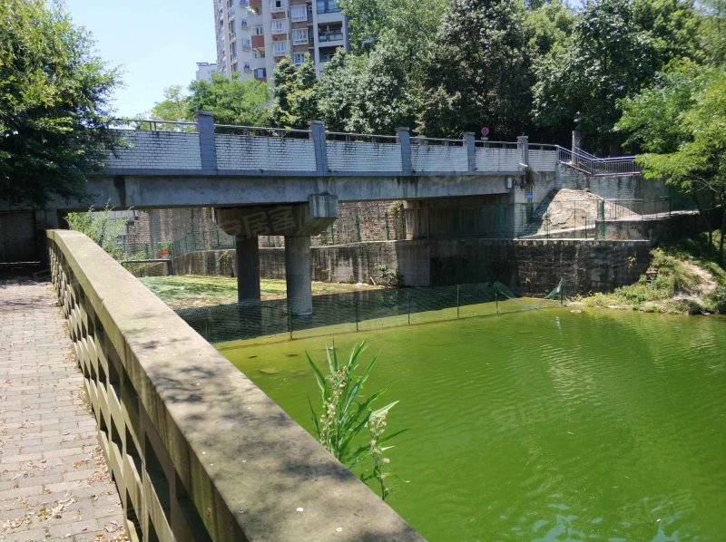 水木青华小小岛