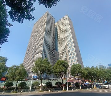 金东岸