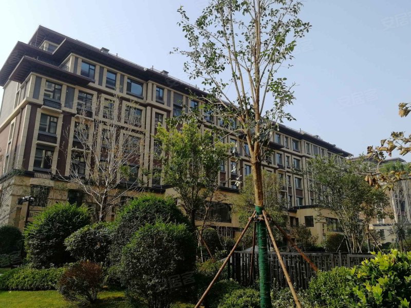 泰鑫东望府,中升大街-临沂泰鑫东望府二手房,租房,房价-临沂安居客