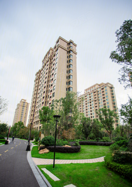 大名城紫金九号