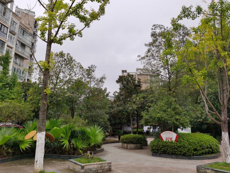 兴隆城市花园碧波居