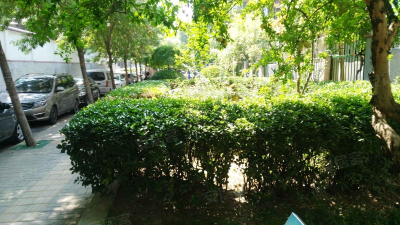 裕园小区,经四路-济南裕园小区二手房,租房,房价-济南安居客