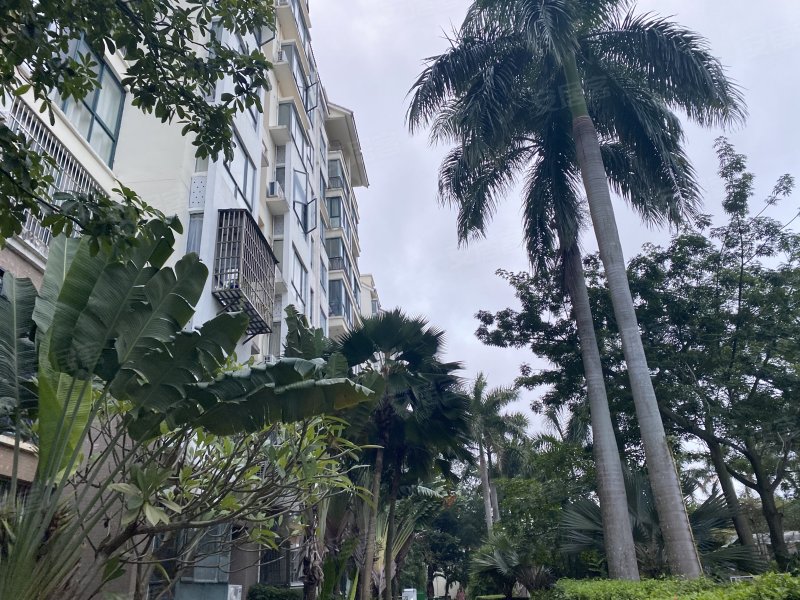 金茂滨江温泉花园,海甸岛二东路69号-海口金茂滨江温泉花园二手房