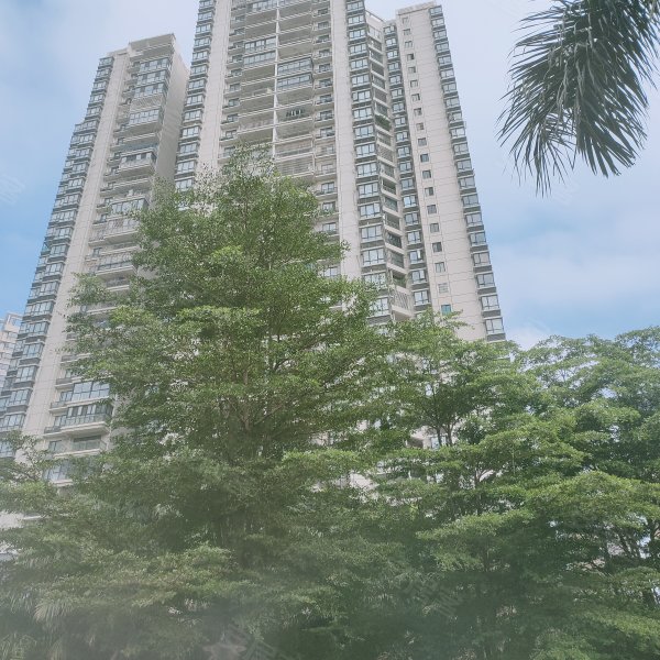 洛杉矶城,滨海东路62号-海口洛杉矶城二手房,租房,房价-海口安居客