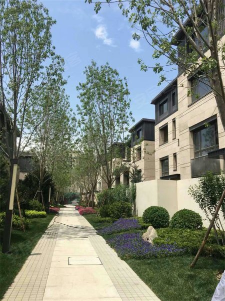 中粮瑞府,香江北路-北京中粮瑞府二手房,租房,房价-北京安居客