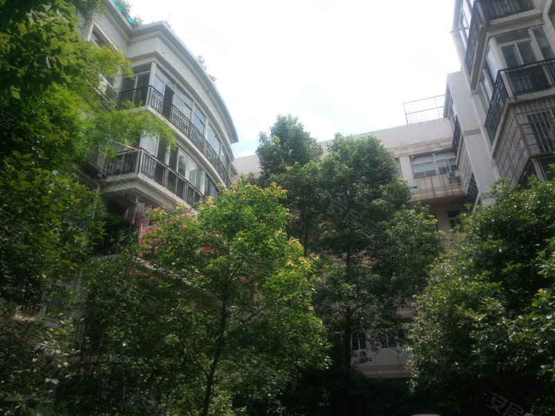 东湖山庄,东湖路180号-武汉东湖山庄二手房,租房,房价-武汉安居客