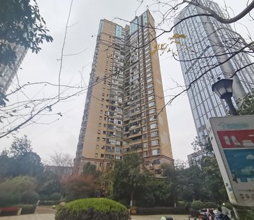 力高滨江国际 朝南 车位充足 商品住宅 高楼层视野好