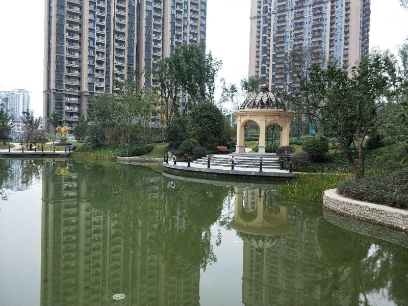 杭州恒大帝景图片