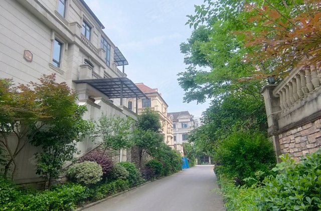 中海梅溪湖壹号别墅