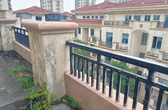 东方巴黎城(别墅)5室3厅315㎡250万二手房图片