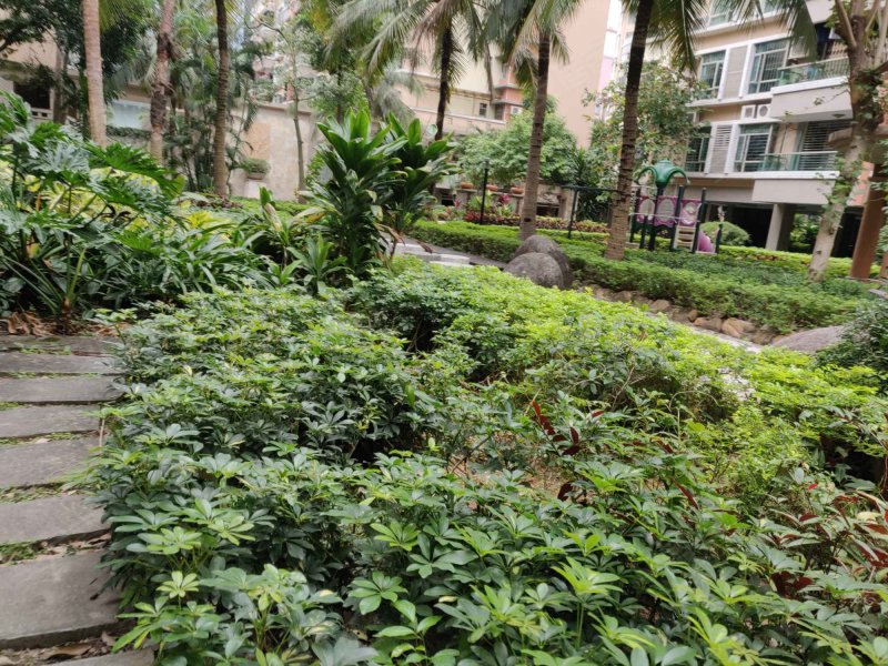 盛景园,起湾南道21号-中山盛景园二手房,租房,房价-中山安居客