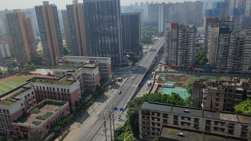 精装修电梯房 朝南 双卫生间 临地铁 尽在隆鑫花漾岭!