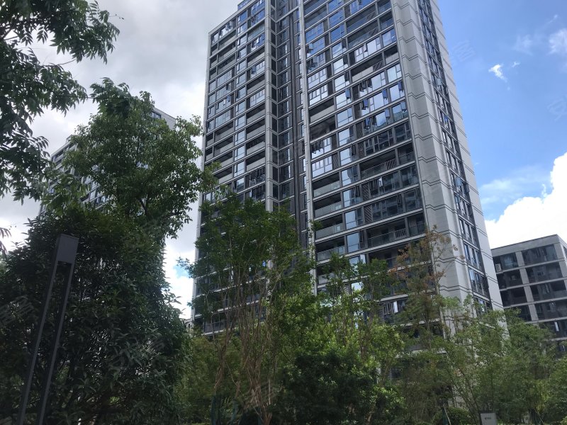 绿城留香园,教工路-丽水绿城留香园二手房,租房,房价-丽水安居客