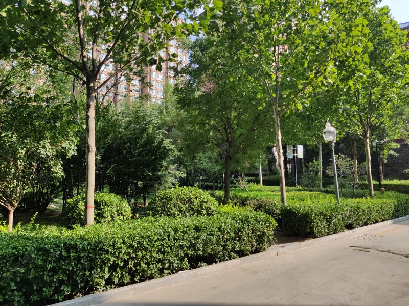 恺鑫橄榄城,库东路5号-运城恺鑫橄榄城二手房,租房,房价-运城安居客