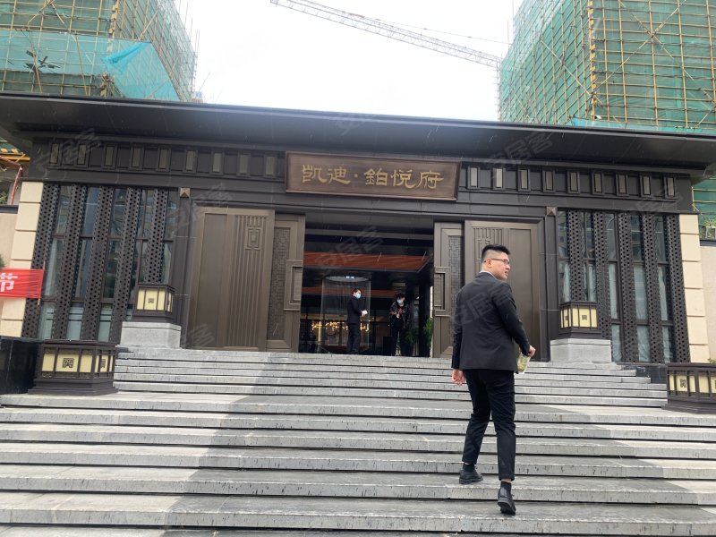 凯迪铂悦府