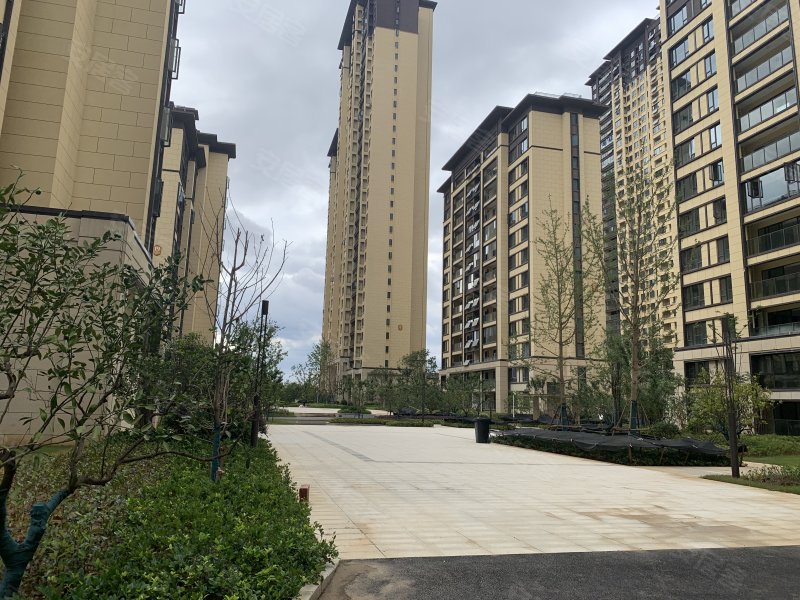 光谷澎湃城奥山府