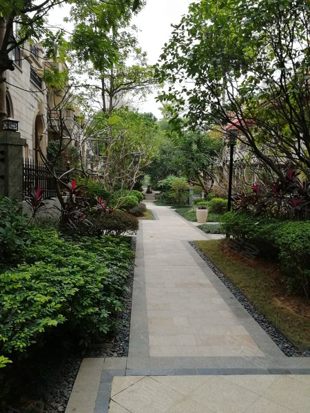 白沙大道辅路,近壮锦大道辅路-南宁龙光普罗旺斯卡地亚庄园二手房