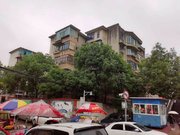 117地质队小区图片