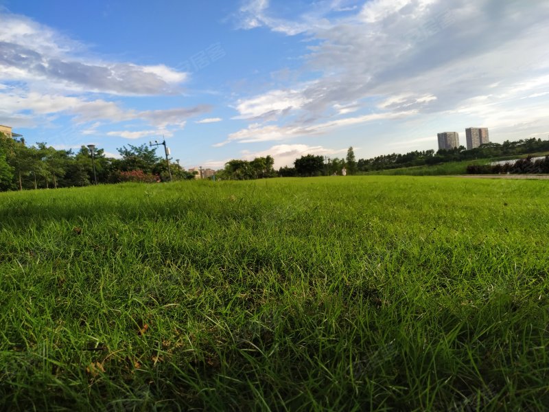 新力荔红花园,荔红北路-广州新力荔红花园二手房,租房,房价-广州安居