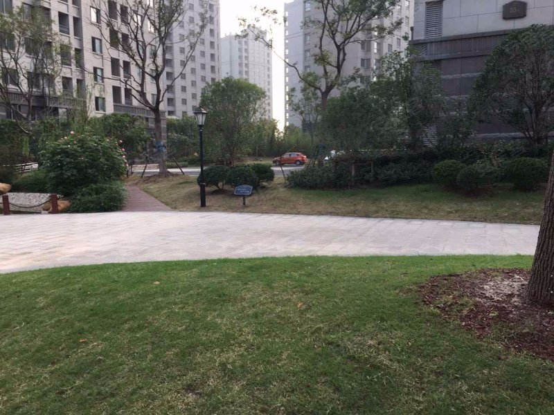 华亭茗苑,中心路1450弄-上海华亭茗苑二手房,租房,房价-上海安居客