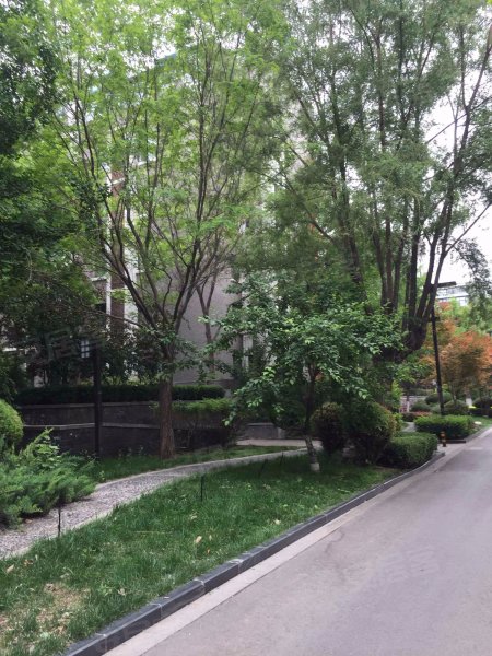 凯威观湖壹号(公寓住宅),天平街-银川凯威观湖壹号(公寓住宅)二手房