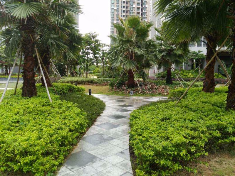 坪洲新村二三期,海城路-深圳坪洲新村二三期二手房,租房,房价-深圳