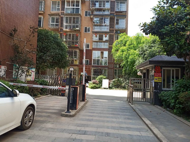 阳光地带(龙泉驿)
