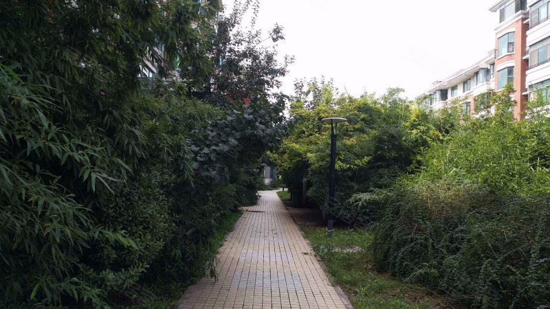 星岛嘉园,亦兴北路-北京星岛嘉园二手房,租房,房价-北京安居客