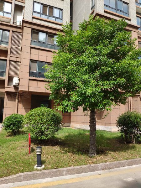 福馨家园,邳新路-徐州福馨家园二手房,租房,房价-徐州安居客